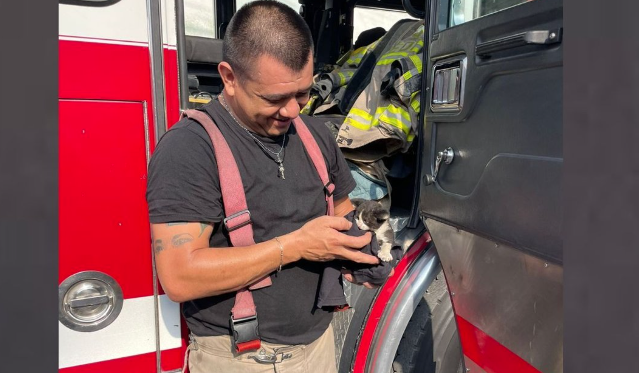 Bomberos de Nuevo León rescatan a gatito bebé